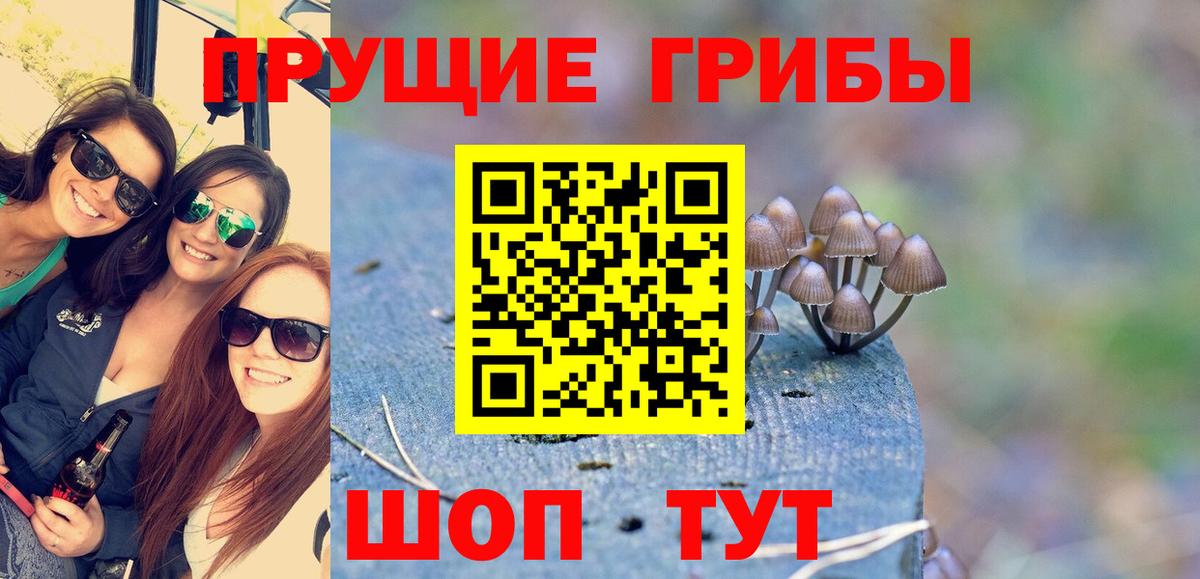 Галлюциногенные грибы Psilocybe  Вход с VPN  Чапаевск 